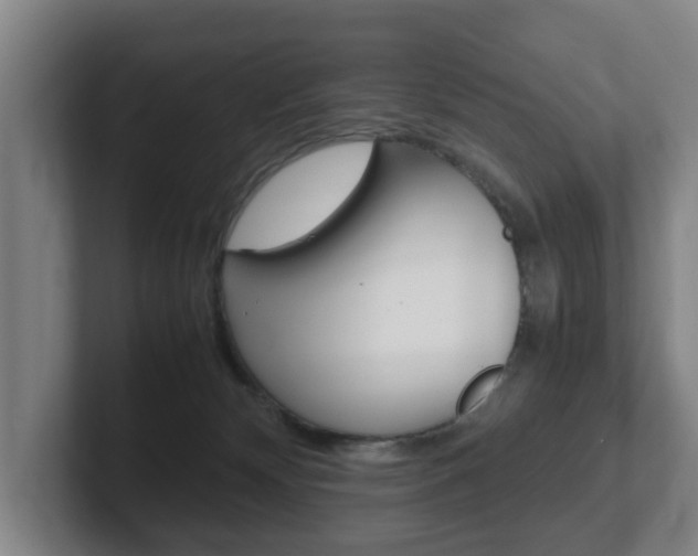 X0000102270132200807250905