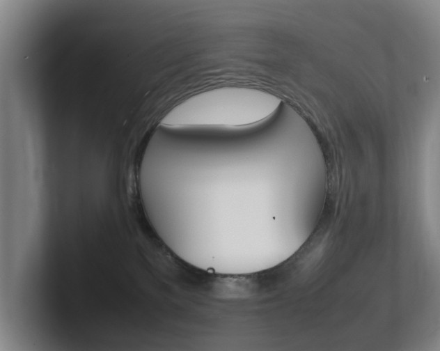 X0000102270137200807250905