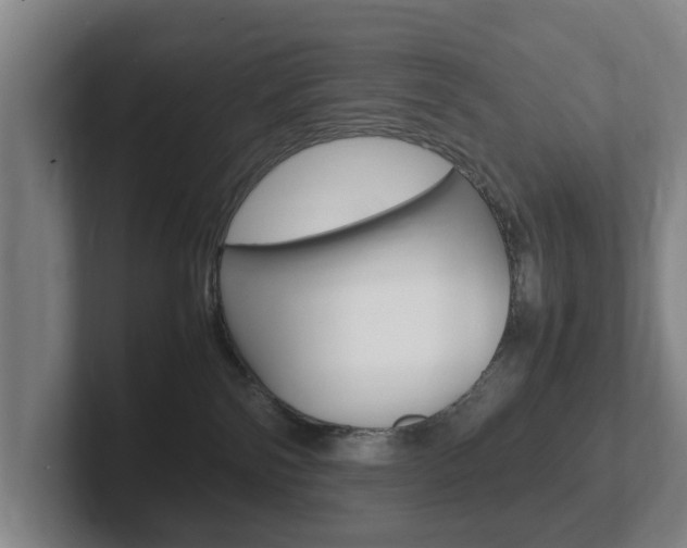 X0000102270138200807250905