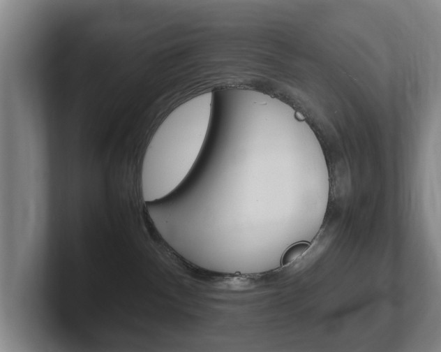 X0000102270140200807250905