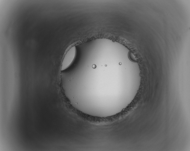X0000102270144200807250905