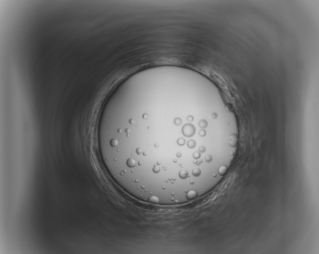 X0000102270145200807250904