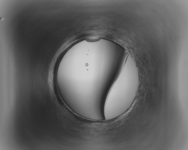 X0000102270150200807250904