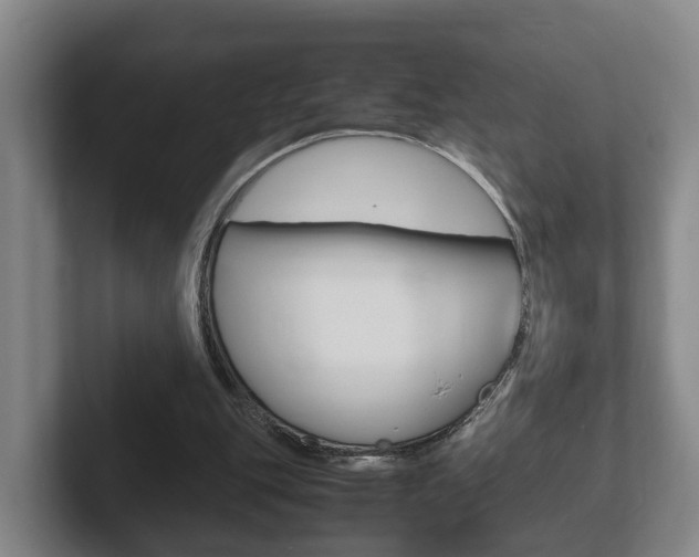 X0000102270151200807250904