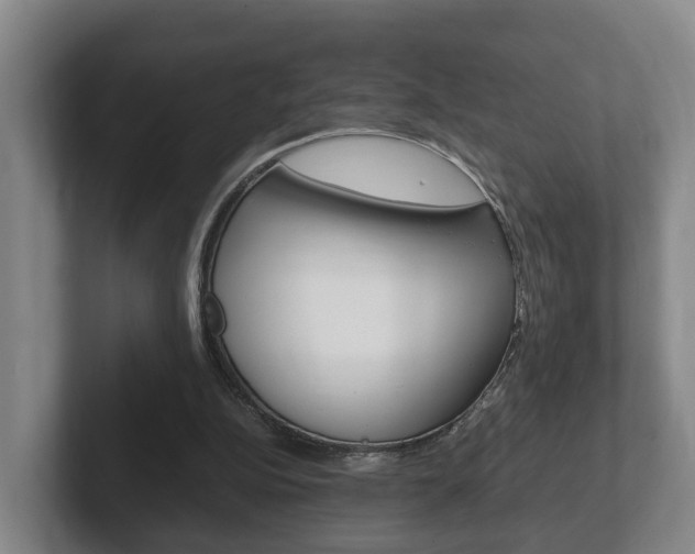 X0000102270152200807250904