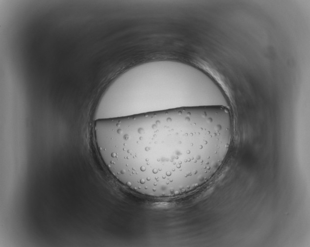 X0000102270153200807250904