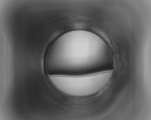 X0000102270154200807250904