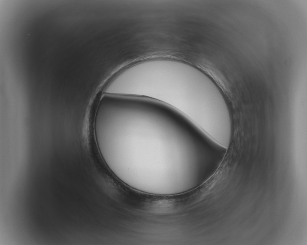 X0000102270156200807250905