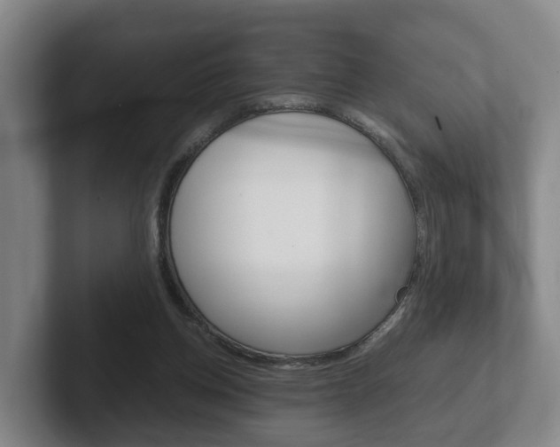 X0000102270158200807250905