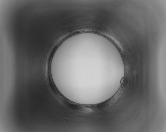X0000102270159200807250905