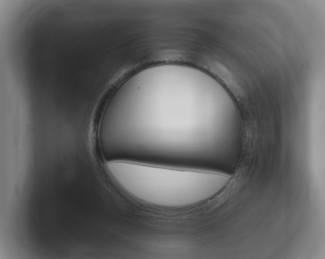 X0000102270160200807250905