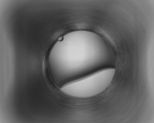 X0000102270164200807250905