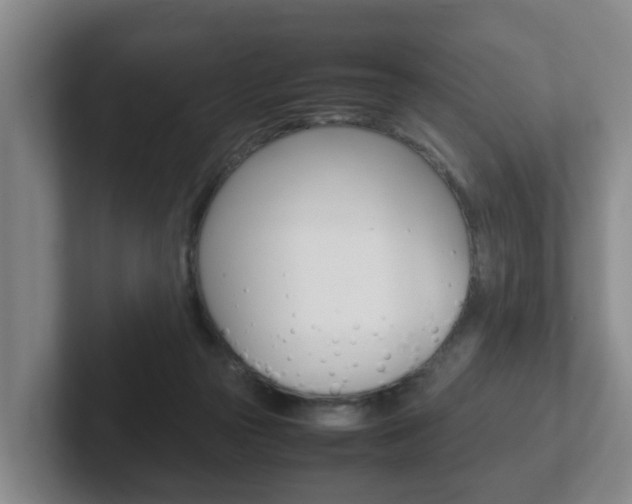 X0000102270169200807250905