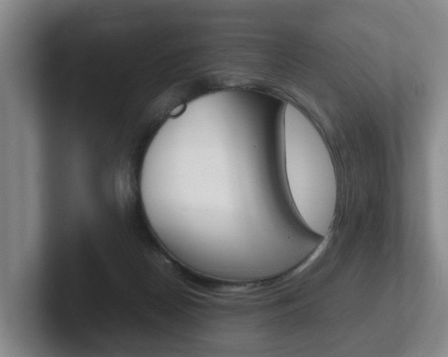 X0000102270170200807250905