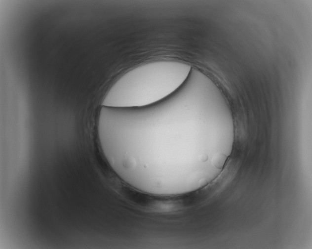 X0000102270171200807250905