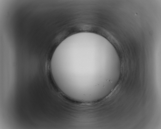 X0000102270172200807250905