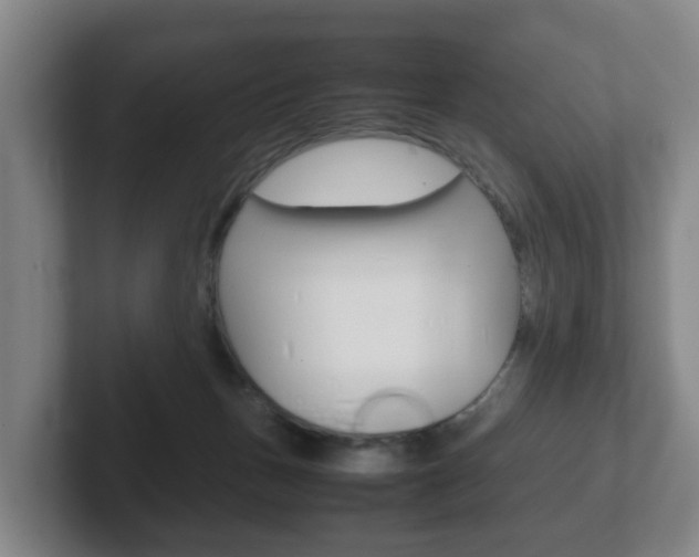 X0000102270175200807250905
