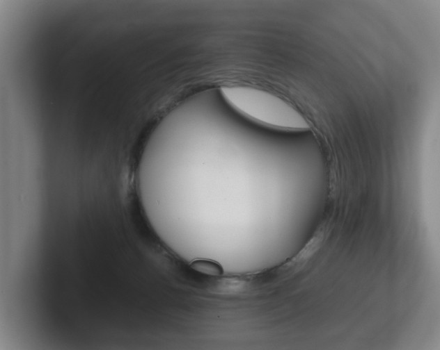 X0000102270176200807250905