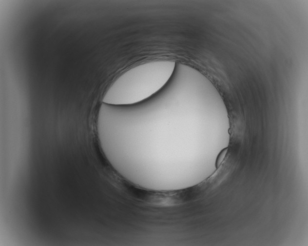 X0000102270179200807250905