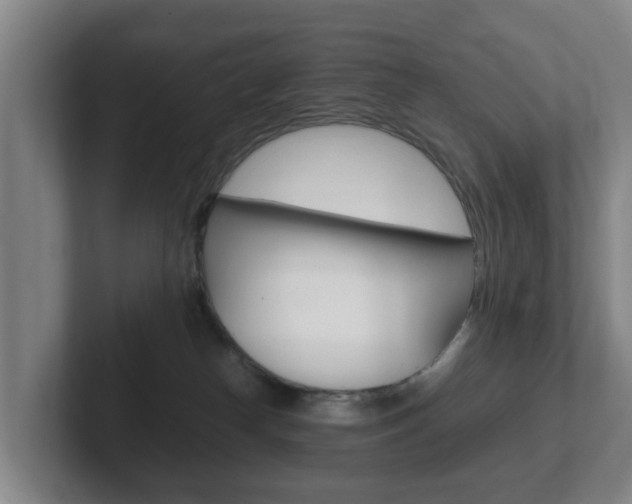 X0000102270182200807250905
