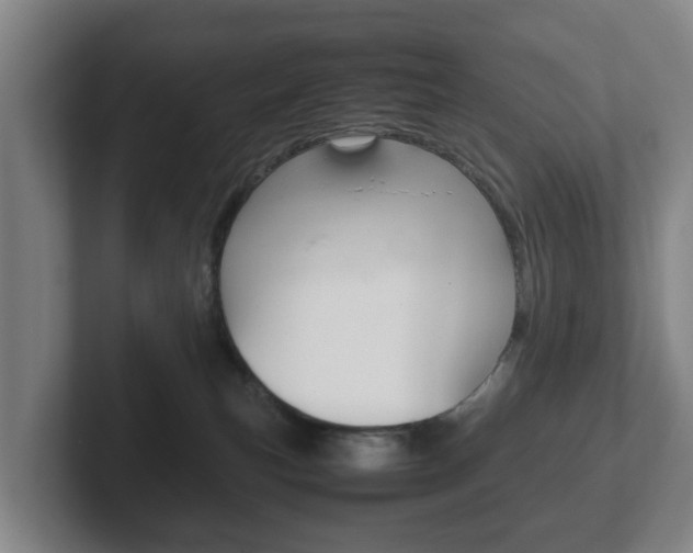 X0000102270183200807250905