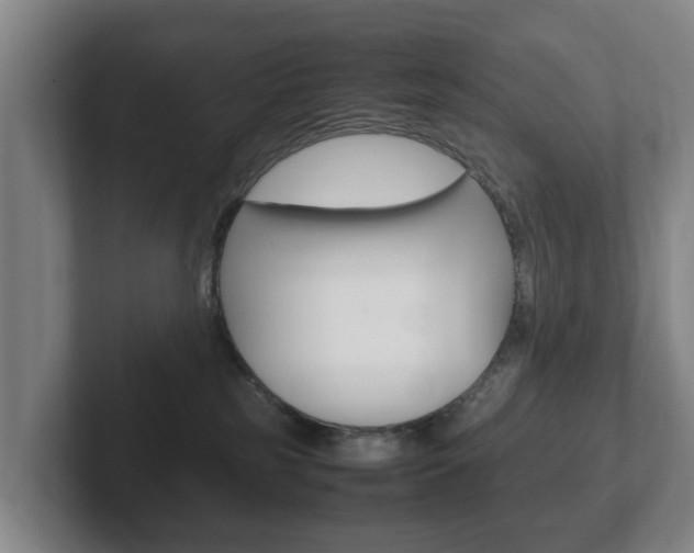 X0000102270185200807250905