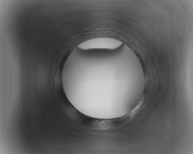 X0000102270186200807250905