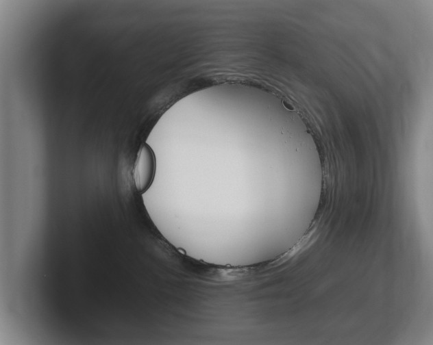 X0000102270188200807250905