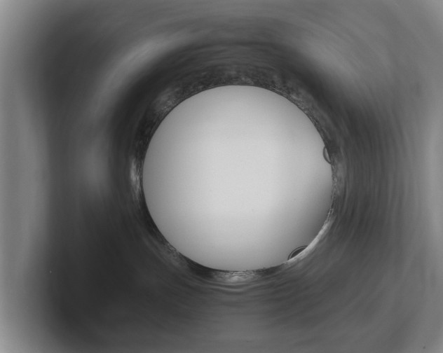 X0000102270191200807250905