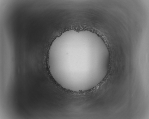 X0000102270192200807250905