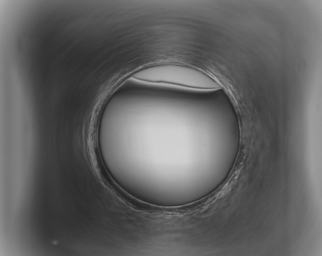 X0000102270193200807250904