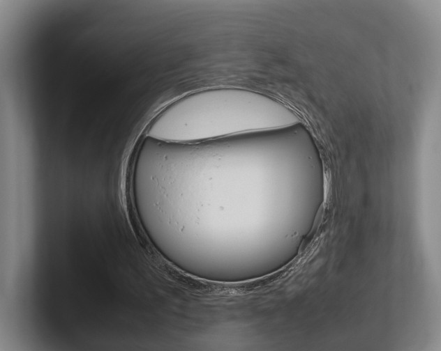 X0000102270195200807250904