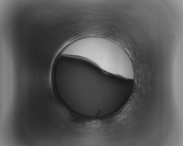 X0000102270196200807250904