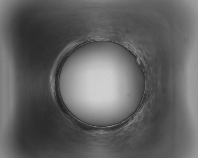 X0000102270197200807250904