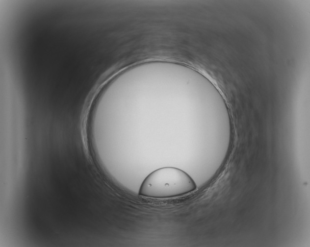 X0000102270199200807250904