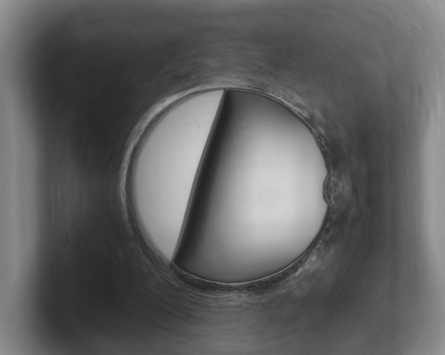 X0000102270200200807250904