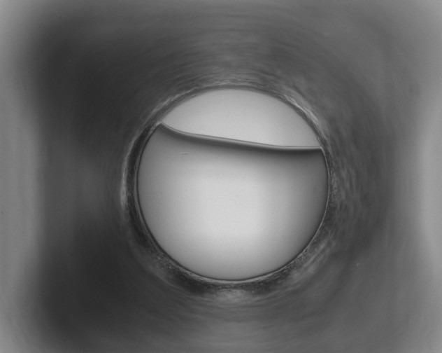 X0000102270203200807250904