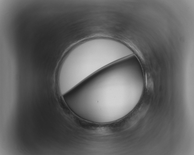 X0000102270204200807250904