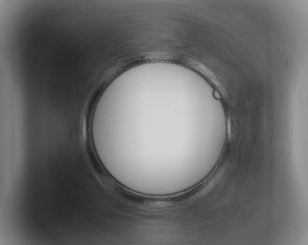 X0000102270205200807250904
