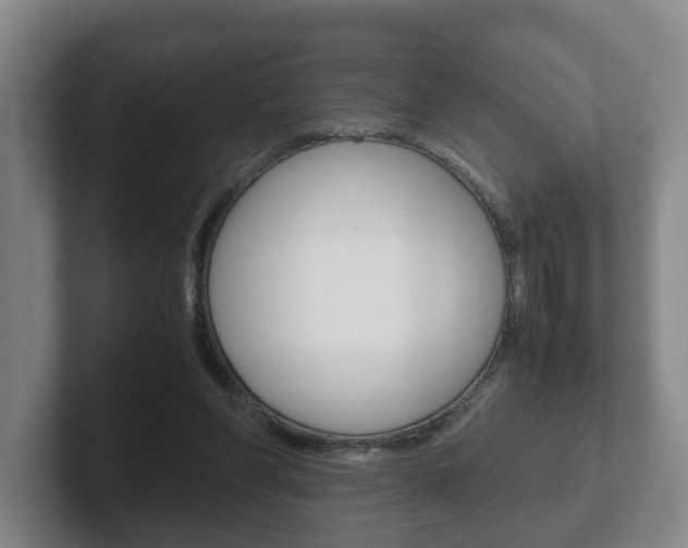X0000102270206200807250904