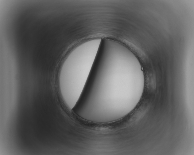 X0000102270208200807250904