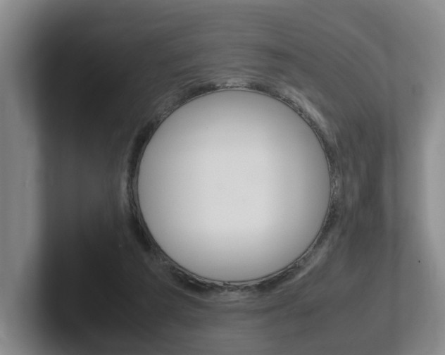 X0000102270209200807250904