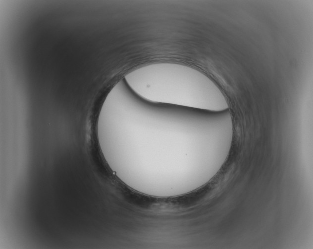 X0000102270211200807250904