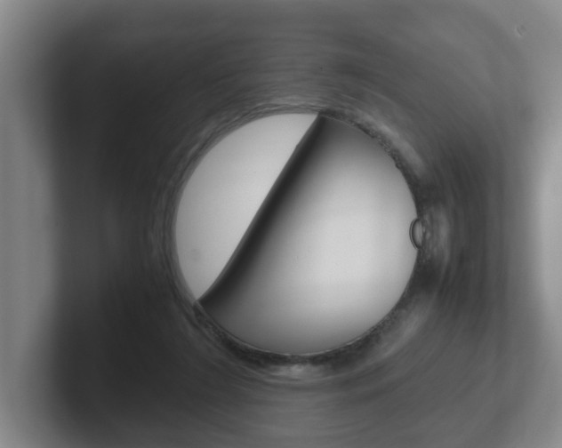 X0000102270212200807250904