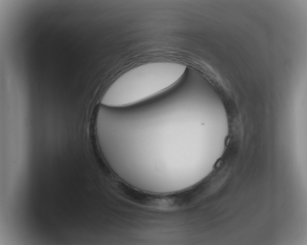 X0000102270217200807250904