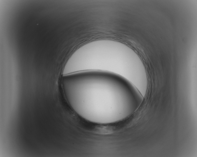 X0000102270221200807250904
