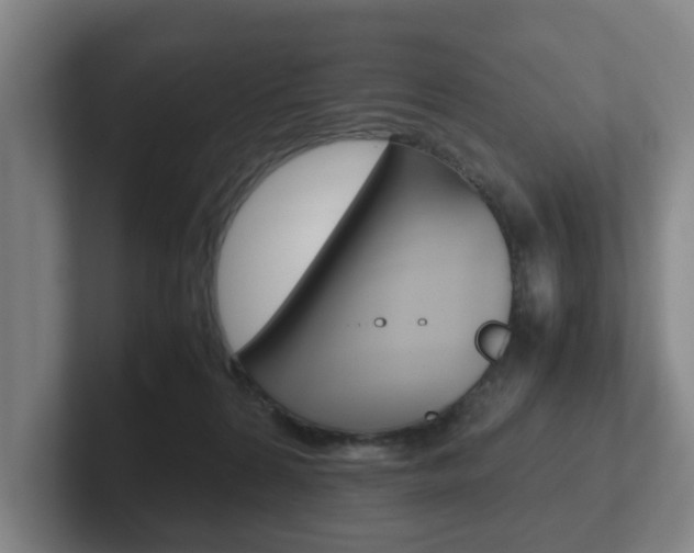 X0000102270224200807250904