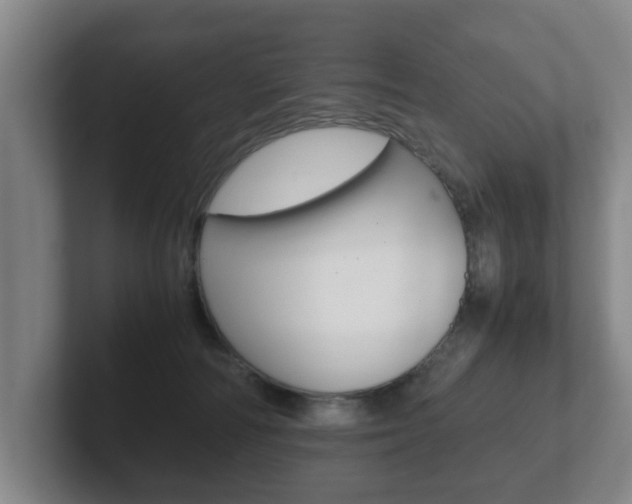 X0000102270226200807250904