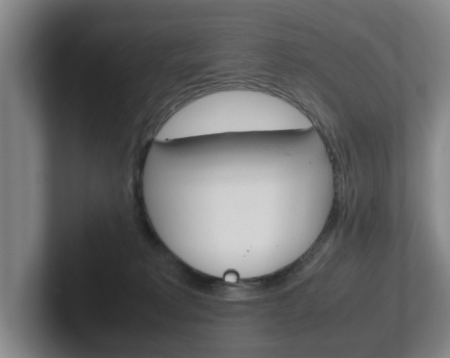 X0000102270229200807250904