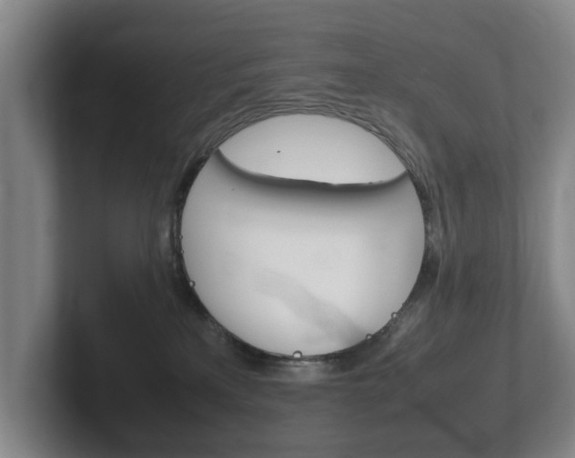 X0000102270233200807250904
